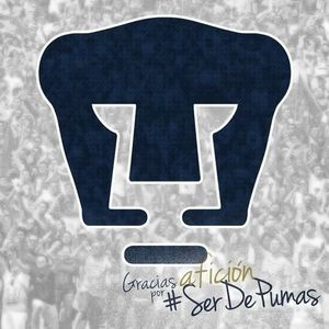 Meet your Posher, Dimas